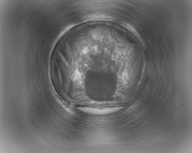 X0000063511043200602101920