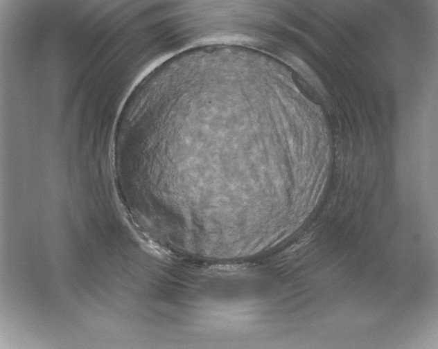 X0000063511044200602101920