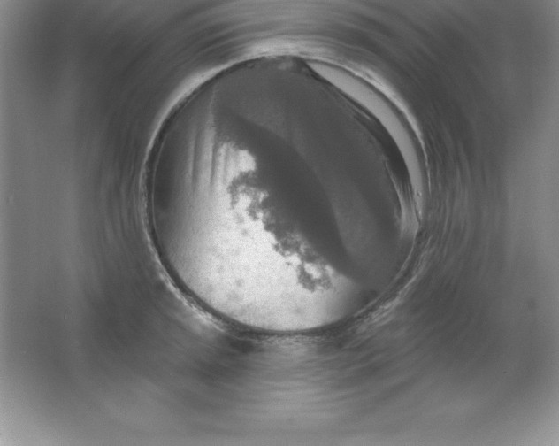 X0000063511045200602101920