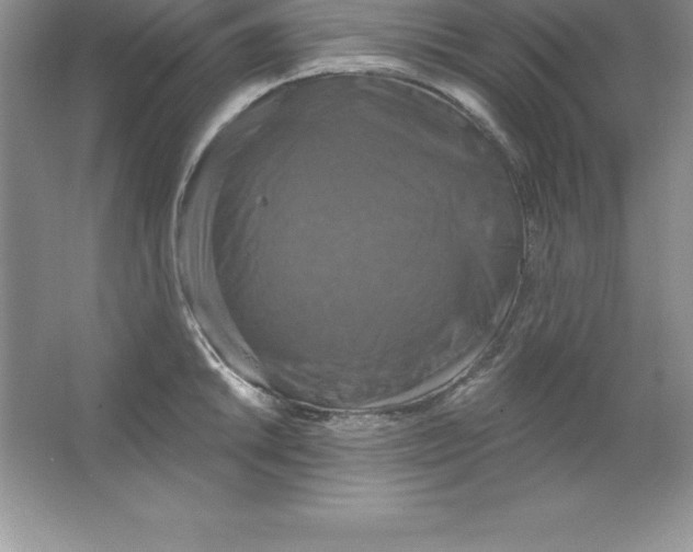 X0000063511046200602101920