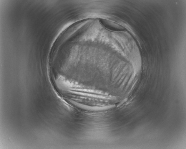 X0000063511048200602101920