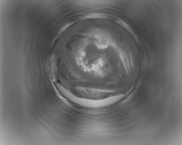 X0000063511049200602101920