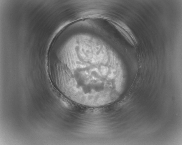 X0000063511051200602101920