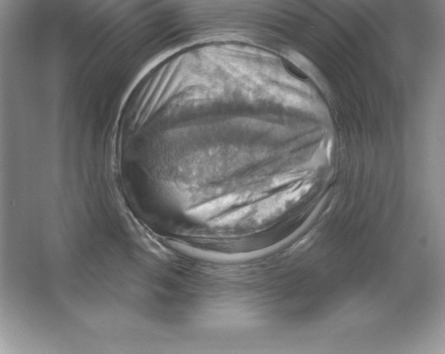 X0000063511052200602101920