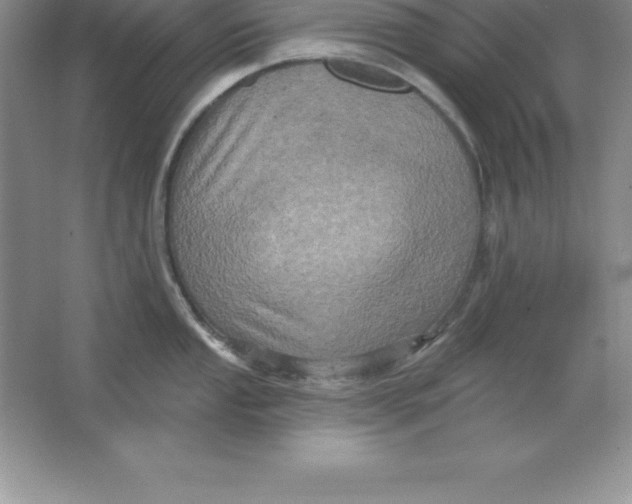 X0000063511053200602101920