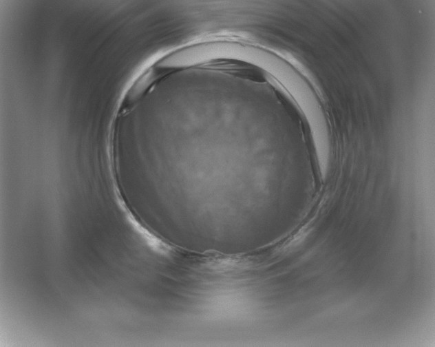 X0000063511054200602101920