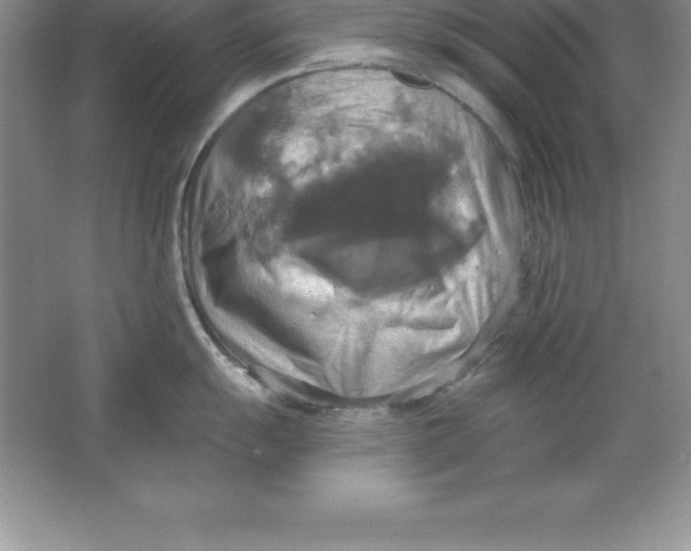 X0000063511055200602101920