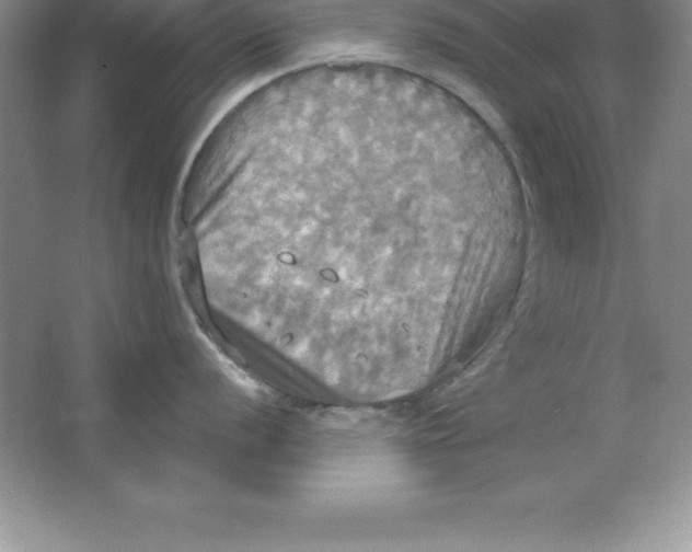 X0000063511056200602101920