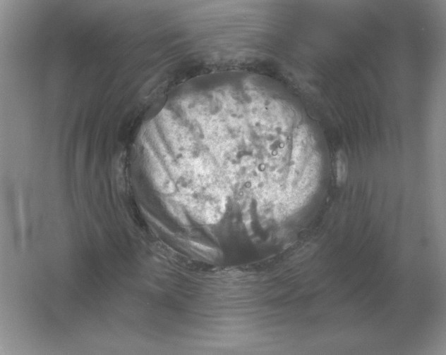 X0000063511059200602101919