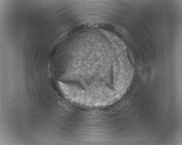 X0000063511060200602101919