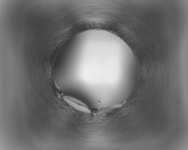 X0000063511061200602101919