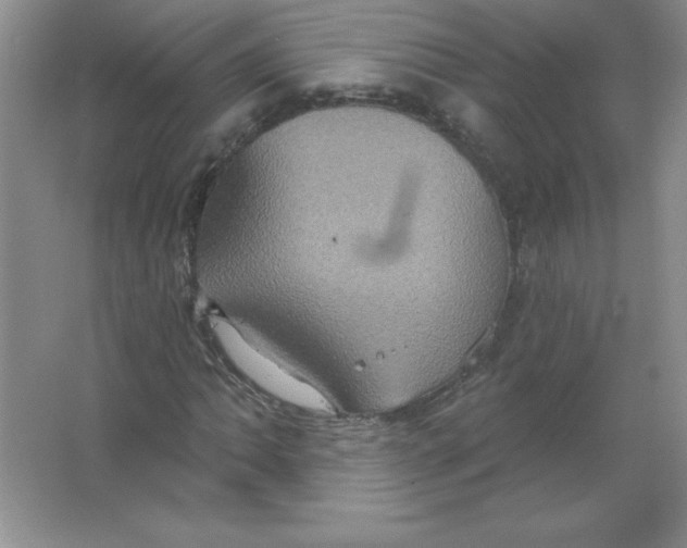 X0000063511062200602101919