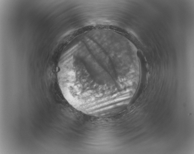 X0000063511063200602101919