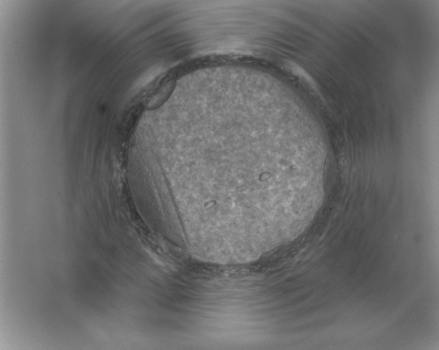 X0000063511064200602101919