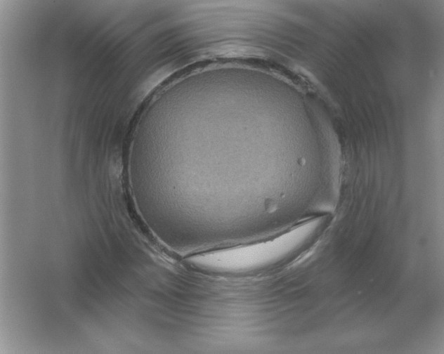 X0000063511065200602101919