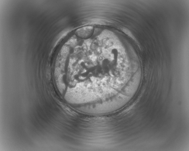 X0000063511067200602101919