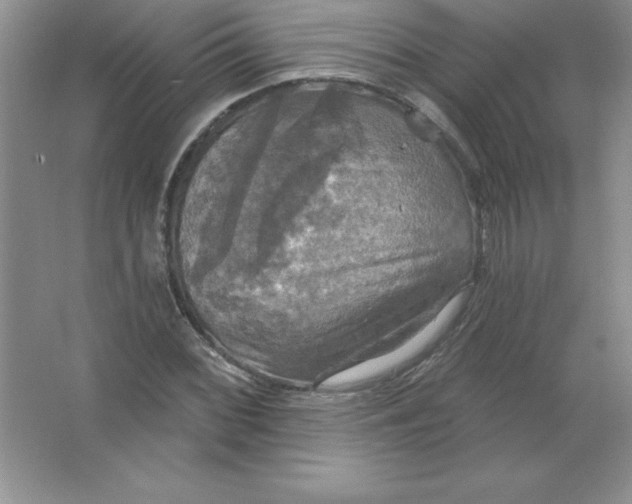 X0000063511068200602101919