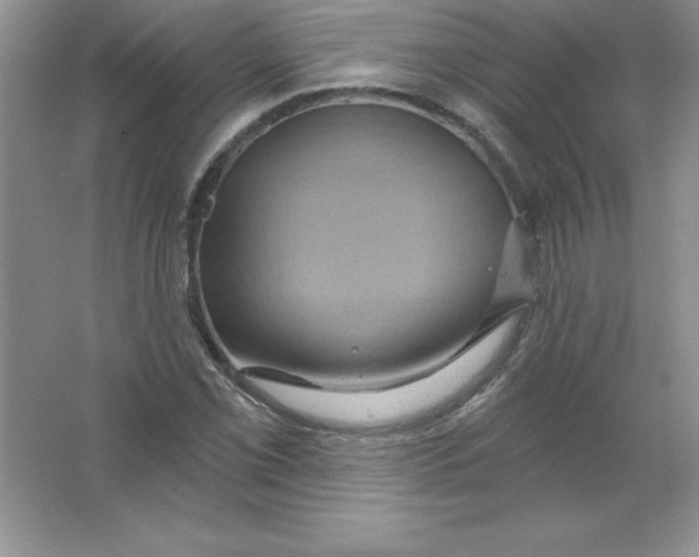 X0000063511069200602101919