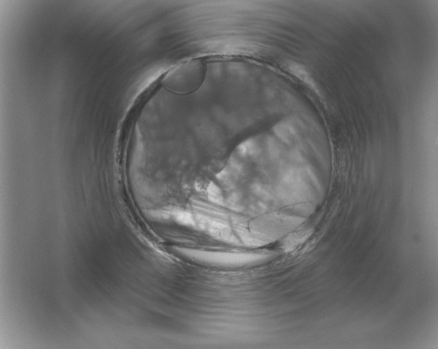 X0000063511071200602101919