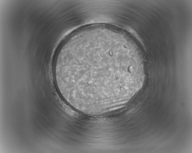 X0000063511072200602101919