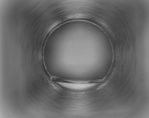 X0000063511073200602101919