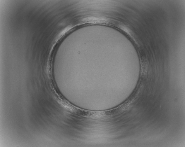 X0000063511074200602101919