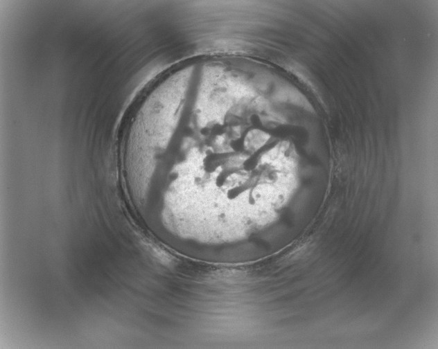 X0000063511075200602101919