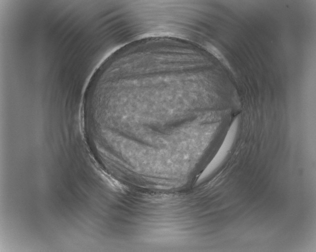 X0000063511076200602101919