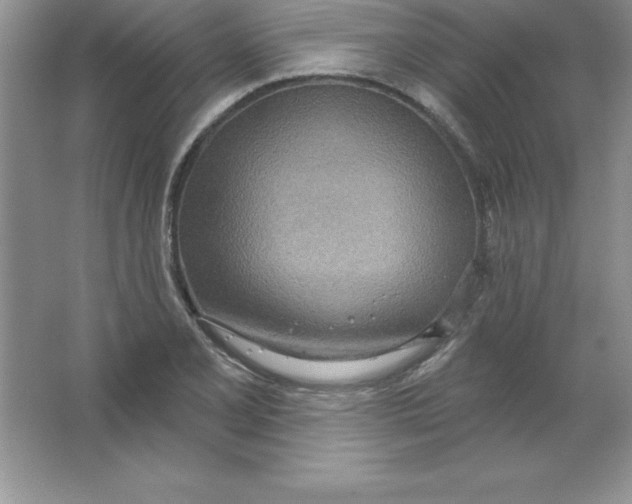 X0000063511077200602101919