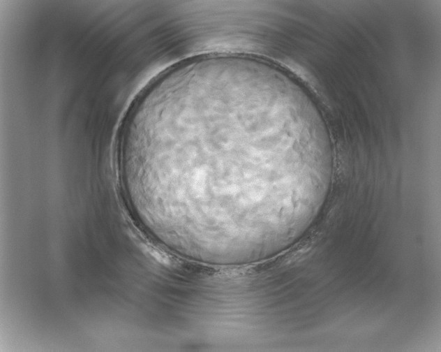 X0000063511078200602101919