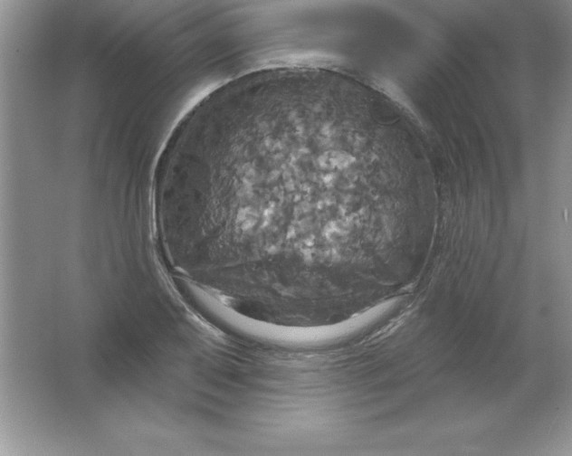 X0000063511079200602101919