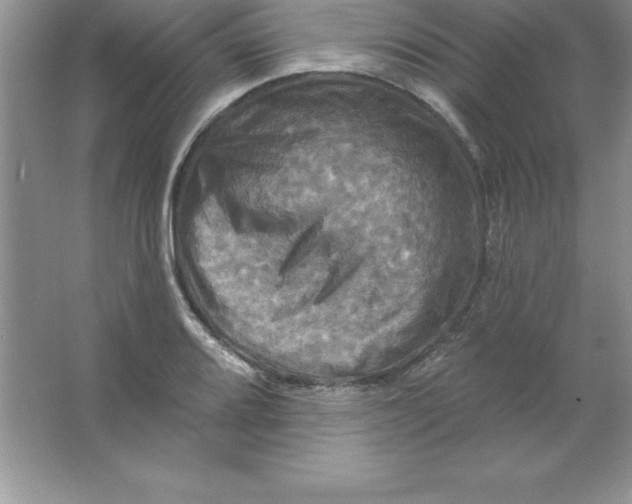 X0000063511080200602101919