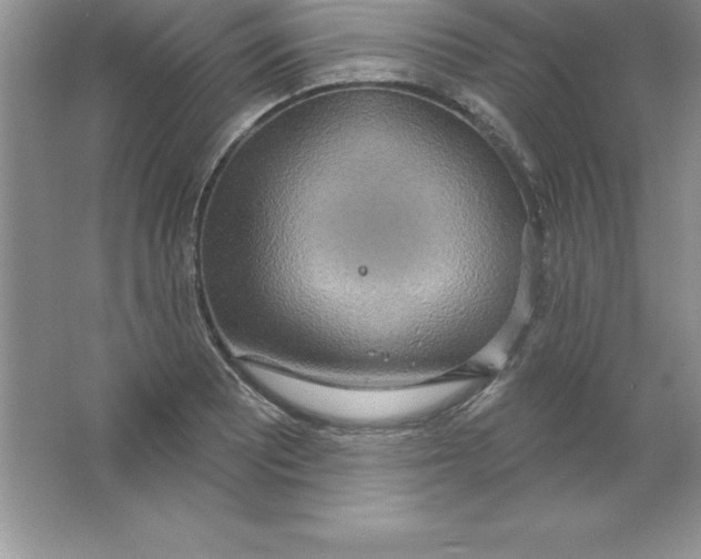 X0000063511081200602101919