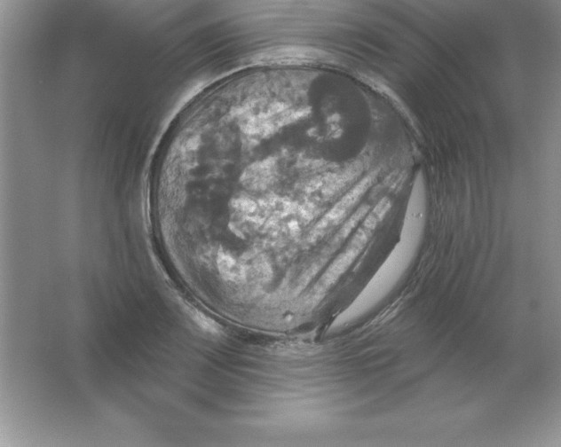 X0000063511083200602101919