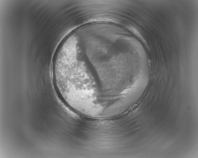 X0000063511084200602101919