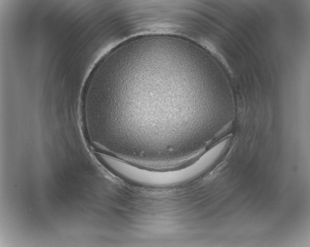 X0000063511085200602101919