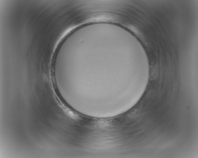 X0000063511086200602101919