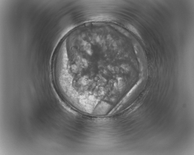 X0000063511087200602101919