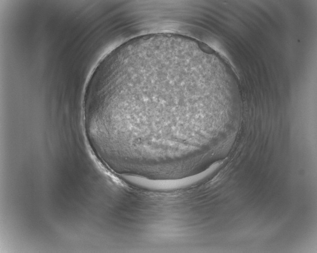 X0000063511088200602101919