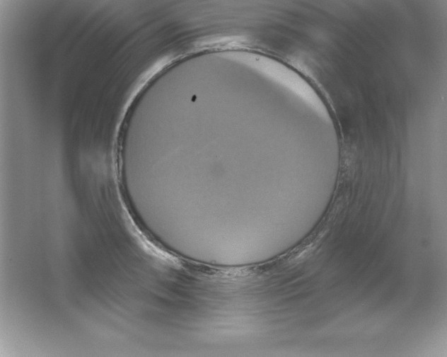 X0000063511090200602101919