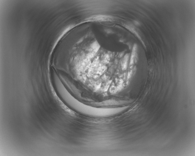 X0000063511091200602101919