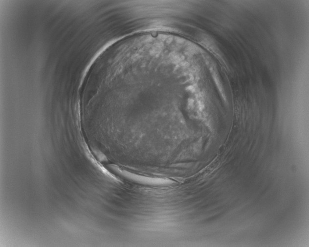 X0000063511092200602101919