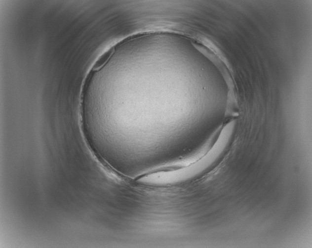 X0000063511093200602101919