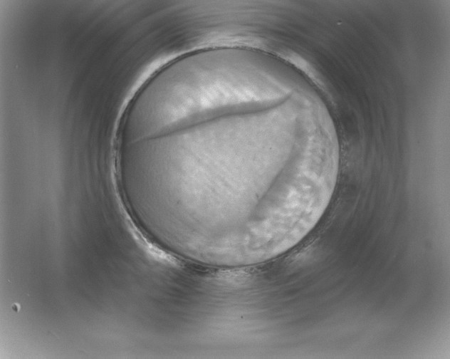 X0000063511094200602101919