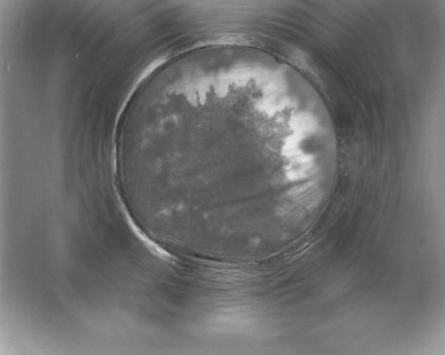 X0000063511095200602101919