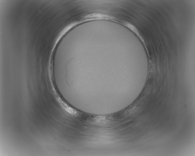 X0000063511098200602101919