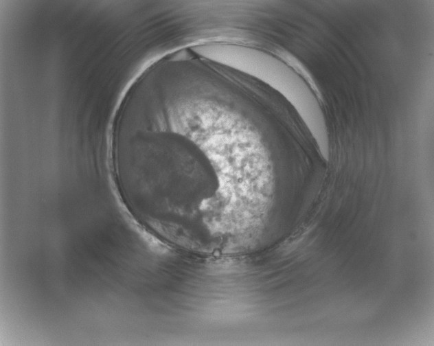 X0000063511099200602101919