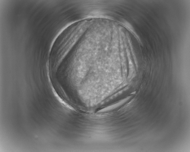 X0000063511100200602101919