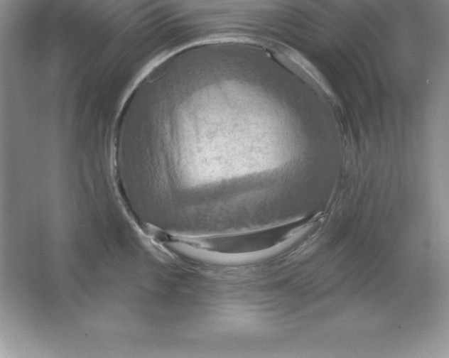 X0000063511101200602101919