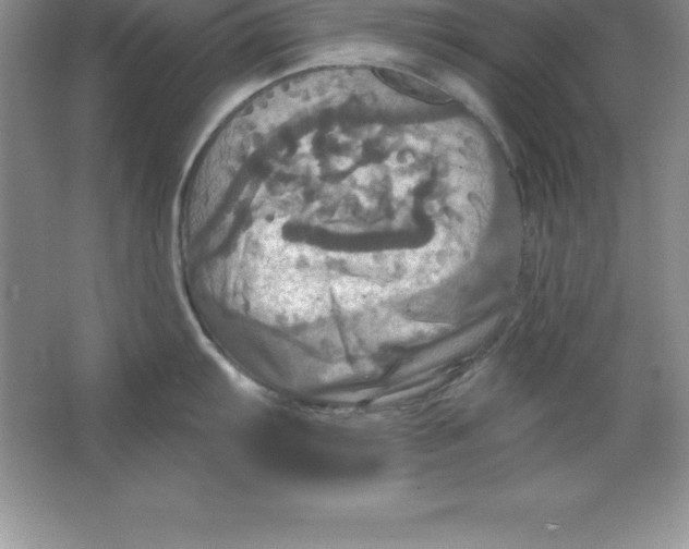 X0000063511103200602101919